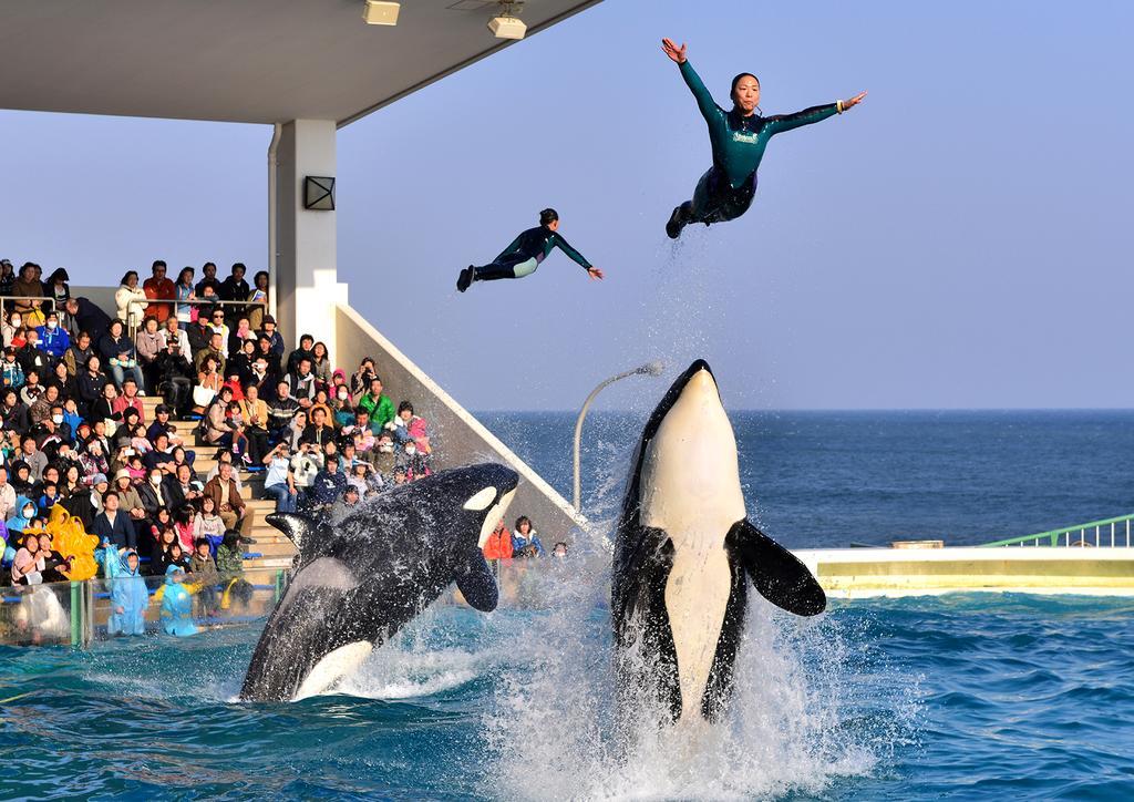 Kamogawa Sea World Hotel Kültér fotó
