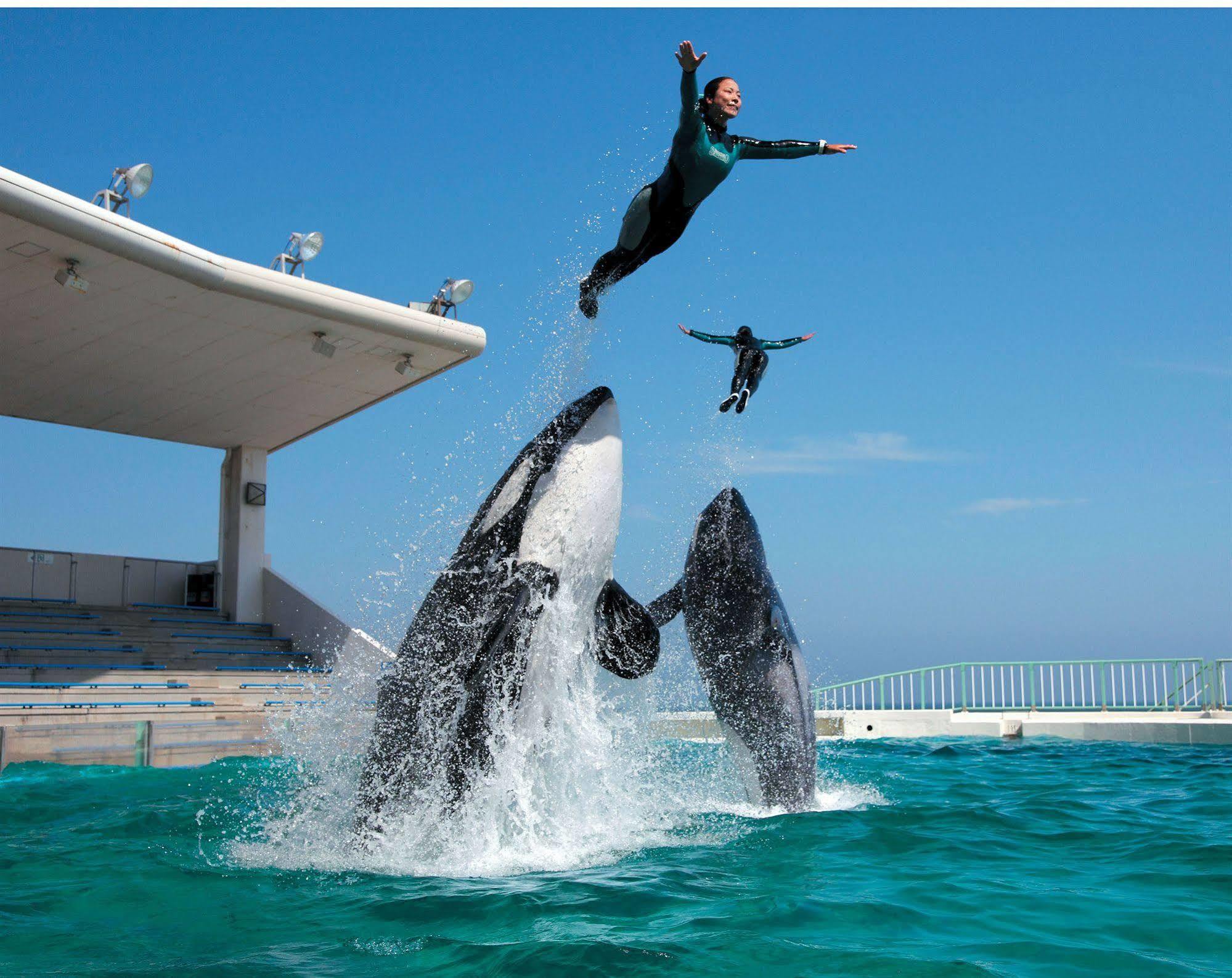 Kamogawa Sea World Hotel Kültér fotó