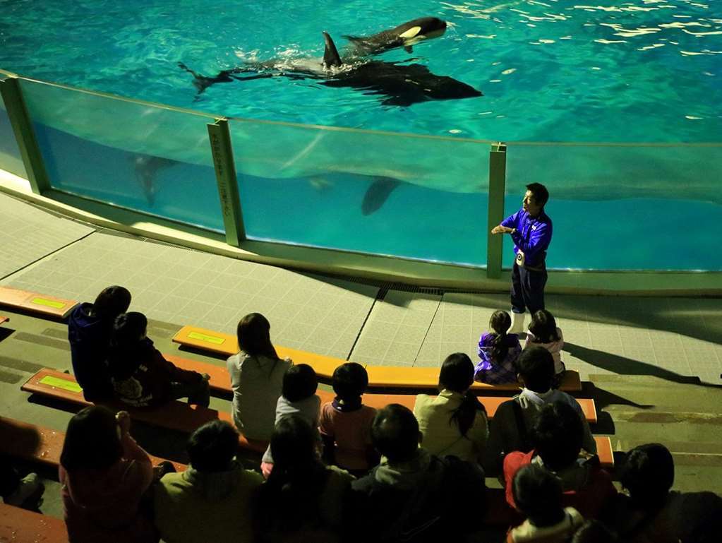 Kamogawa Sea World Hotel Létesítmények fotó