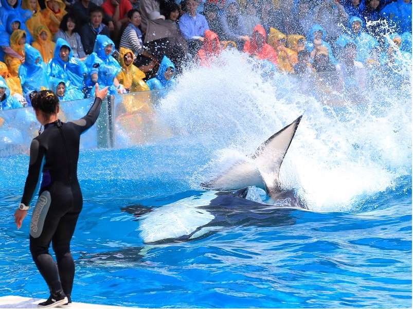 Kamogawa Sea World Hotel Létesítmények fotó